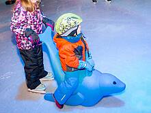 Eislauf-Fahrhilfe